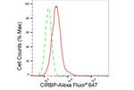 CIRBP Antibody in Flow Cytometry (Flow)