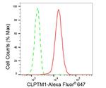 CLPTM1 Antibody in Flow Cytometry (Flow)