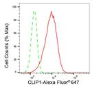 CLIP1 Antibody in Flow Cytometry (Flow)