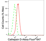Cathepsin D Antibody in Flow Cytometry (Flow)
