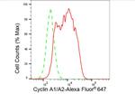 Cyclin A1/A2 Antibody in Flow Cytometry (Flow)