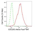 CDC25C Antibody in Flow Cytometry (Flow)
