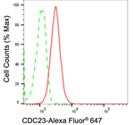 Cdc23 Antibody in Flow Cytometry (Flow)