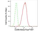 CD99 Antibody in Flow Cytometry (Flow)