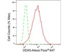 DDX5 Antibody in Flow Cytometry (Flow)