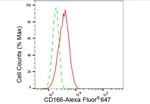 CD166 Antibody in Flow Cytometry (Flow)