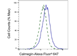 CLGN Antibody in Flow Cytometry (Flow)