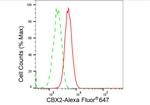 CBX2 Antibody in Flow Cytometry (Flow)