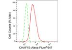 CAF1 p60 Antibody in Flow Cytometry (Flow)