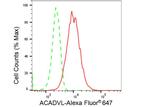 ACADVL Antibody in Flow Cytometry (Flow)