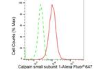 Calpain S1 Antibody in Flow Cytometry (Flow)