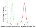 PDI Antibody in Flow Cytometry (Flow)