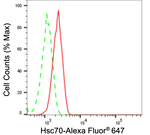 HSC70 Antibody in Flow Cytometry (Flow)