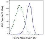 HSC70 Antibody in Flow Cytometry (Flow)
