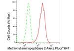 METAP2 Antibody in Flow Cytometry (Flow)