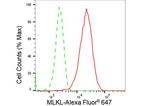 MLKL Antibody in Flow Cytometry (Flow)