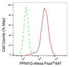 PPM1G Antibody in Flow Cytometry (Flow)