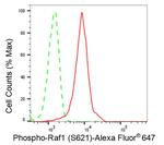 Phospho-c-Raf (Ser621) Antibody in Flow Cytometry (Flow)
