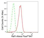 c-Raf Antibody in Flow Cytometry (Flow)