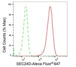SEC24D Antibody in Flow Cytometry (Flow)