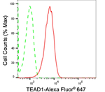 TEF1 Antibody in Flow Cytometry (Flow)