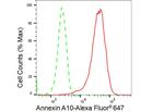 Annexin A10 Antibody in Flow Cytometry (Flow)