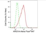 ARID1A Antibody in Flow Cytometry (Flow)