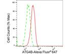 ATG4B Antibody in Flow Cytometry (Flow)