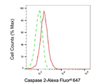 Caspase 2 Antibody in Flow Cytometry (Flow)