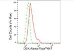 DEK Antibody in Flow Cytometry (Flow)