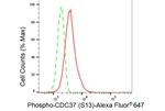 Phospho-CDC37 (Ser13) Antibody in Flow Cytometry (Flow)