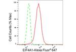 eIF4A1 Antibody in Flow Cytometry (Flow)