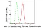 ARHGAP5 Antibody in Flow Cytometry (Flow)