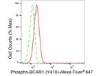 Phospho-p130Cas (Tyr410) Antibody in Flow Cytometry (Flow)