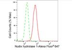 MTH1 Antibody in Flow Cytometry (Flow)