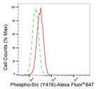 Phospho-SRC (Tyr419) Antibody in Flow Cytometry (Flow)