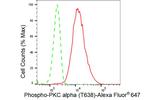 Phospho-PKC alpha (Thr638) Antibody in Flow Cytometry (Flow)