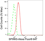 SPINK5 Antibody in Flow Cytometry (Flow)