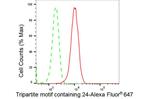 TRIM24 Antibody in Flow Cytometry (Flow)