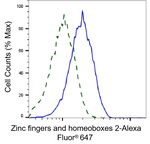 ZHX2 Antibody in Flow Cytometry (Flow)