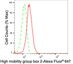 HMGB2 Antibody in Flow Cytometry (Flow)