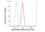 p38 MAPK Antibody in Flow Cytometry (Flow)