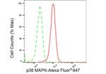 p38 MAPK Antibody in Flow Cytometry (Flow)
