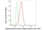 MUT Antibody in Flow Cytometry (Flow)