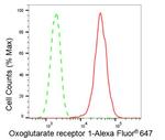 OXGR1 Antibody in Flow Cytometry (Flow)