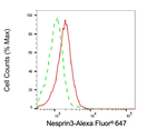 SYNE3 Antibody in Flow Cytometry (Flow)