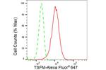 TSFM Antibody in Flow Cytometry (Flow)