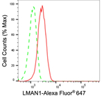 LMAN1 Antibody in Flow Cytometry (Flow)