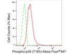 Phospho-p38 MAPK (Thr180) Antibody in Flow Cytometry (Flow)