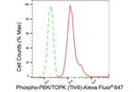 Phospho-PBK (Thr9) Antibody in Flow Cytometry (Flow)